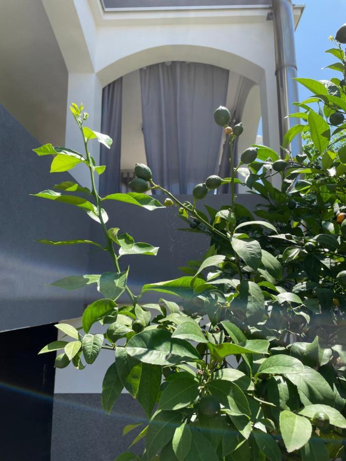 Appartamento Mare Zara Esterno foto